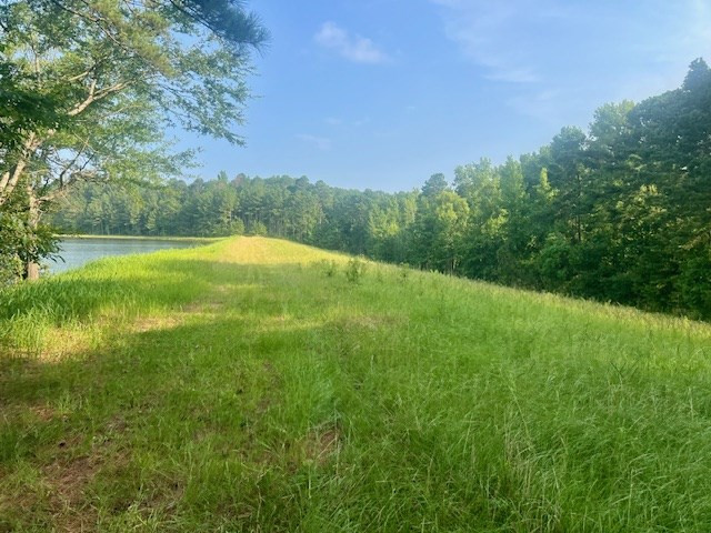 1 Northeast Burt Loop Road Crystal Springs, MS 39059 - Photo 14 of 40 Photo 14