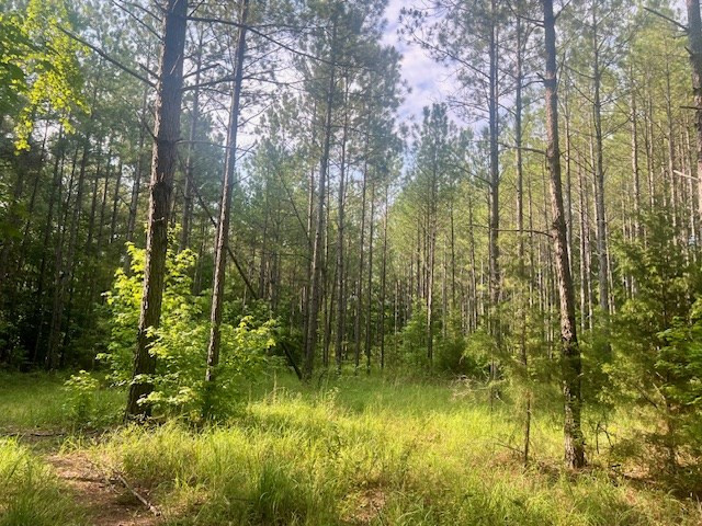 1 Northeast Burt Loop Road Crystal Springs, MS 39059 - Photo 20 of 40 Photo 20