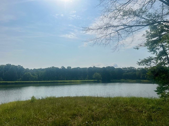 1 Northeast Burt Loop Road Crystal Springs, MS 39059 - Photo 9 of 40 Photo 9