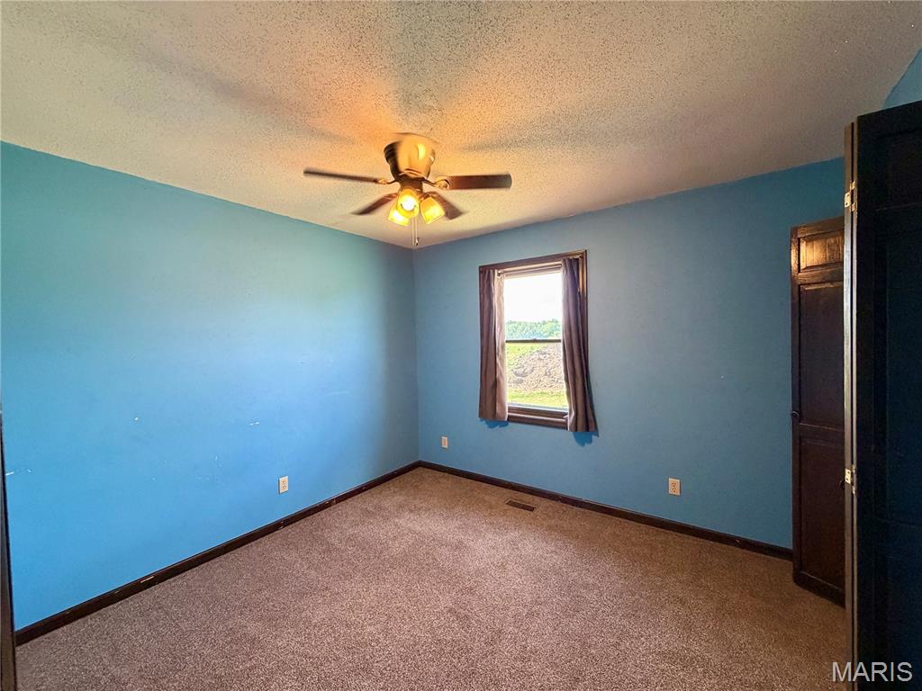 8794 Jimmy O'Donnell Road Hannibal, MO 63401 - Photo 13 of 39