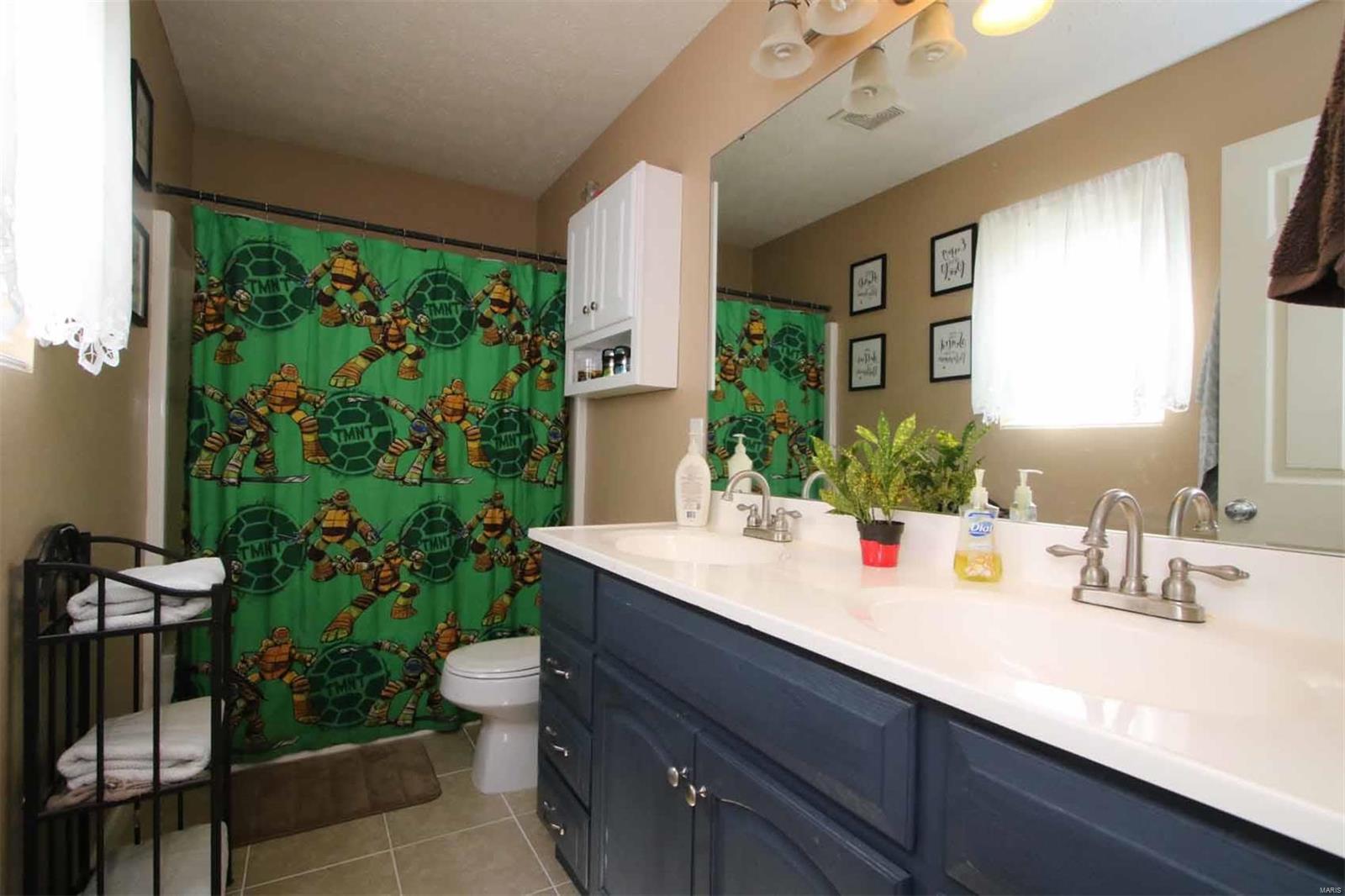 9844 Oak Grove School Road Lebanon, IL 62254 - Photo 16 of 52 Gallery Image 16