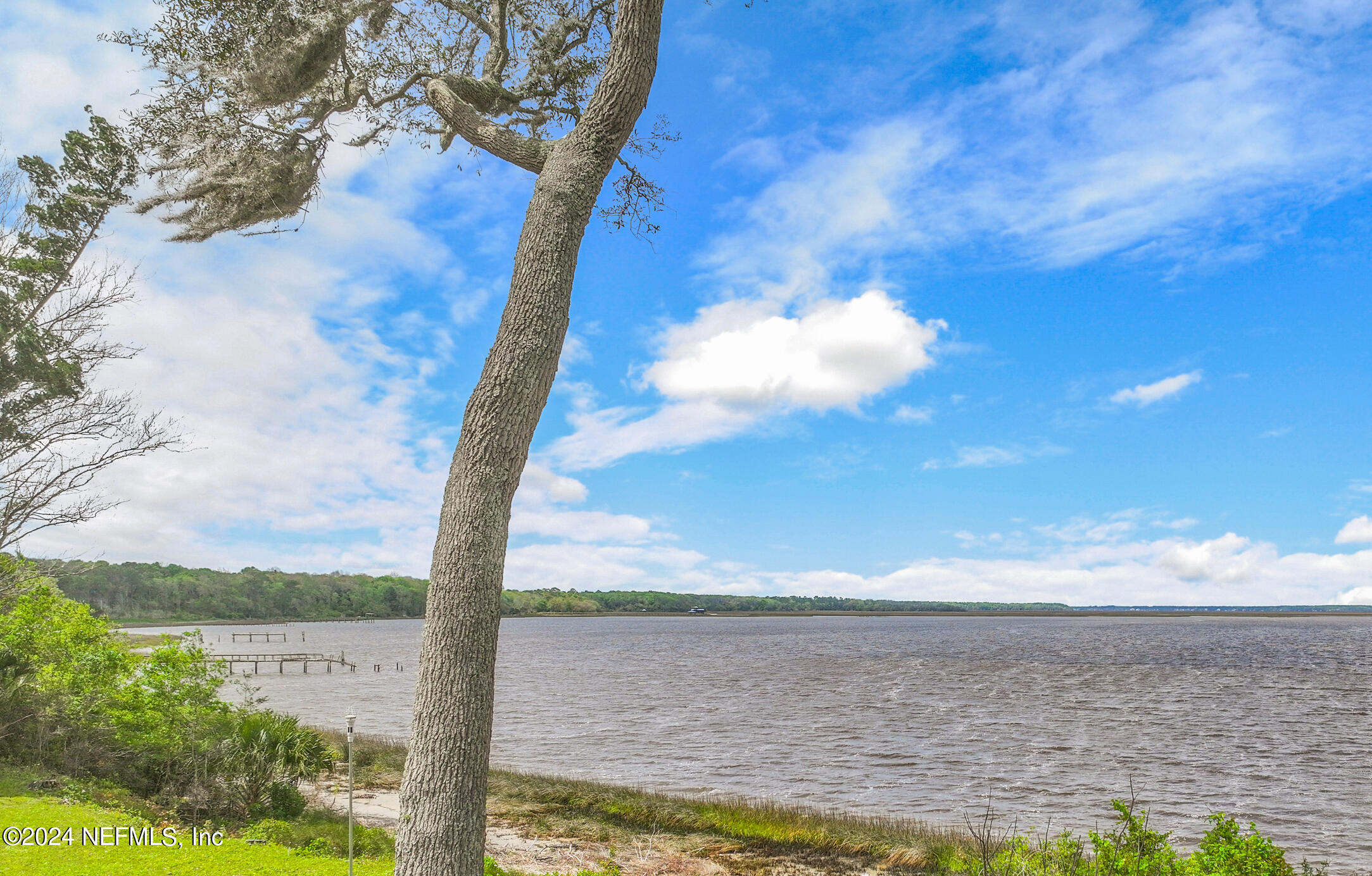 28676 Grandview Manor Yulee, FL 32097 - Photo 6 of 23 a view of lake with mountain