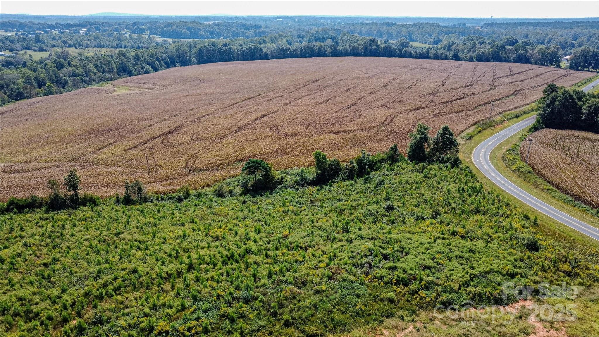 0 Leonards Fork Church Road Crouse, NC 28033 - Photo 14 of 17 a view of a backyard