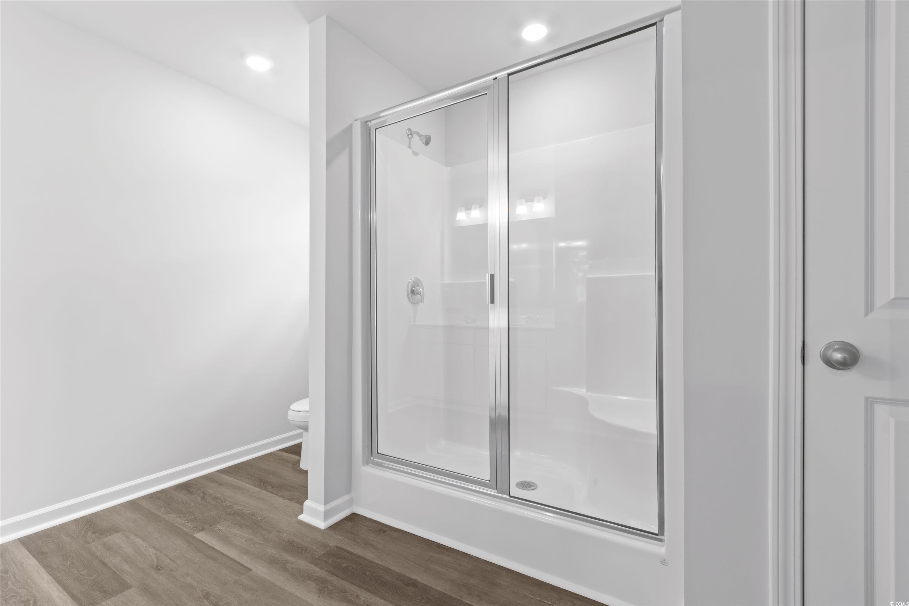72 Cpe Pt Drive Conway, SC 29527 - Photo 31 of 34 Bathroom featuring hardwood / wood-style flooring,