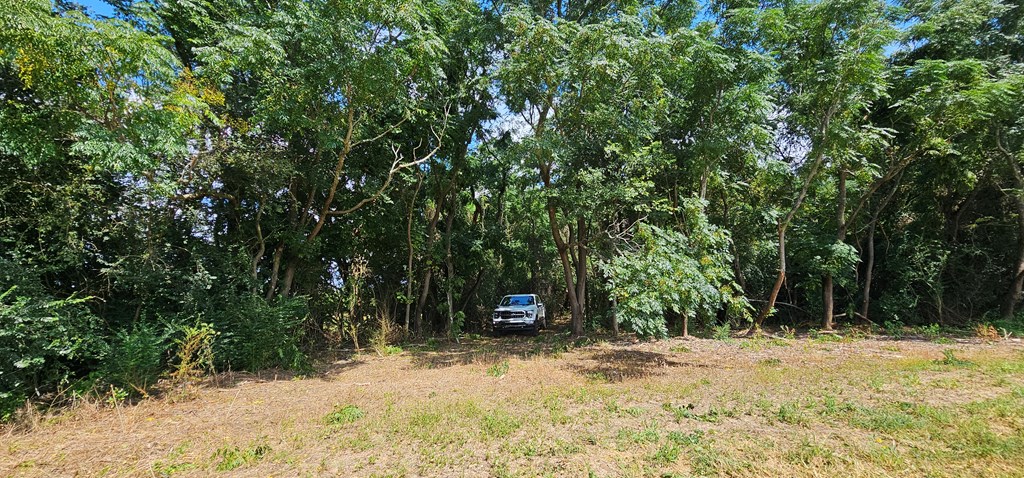 10.69-acres Summer Road Slocomb, AL 36375 - Photo 17 of 51