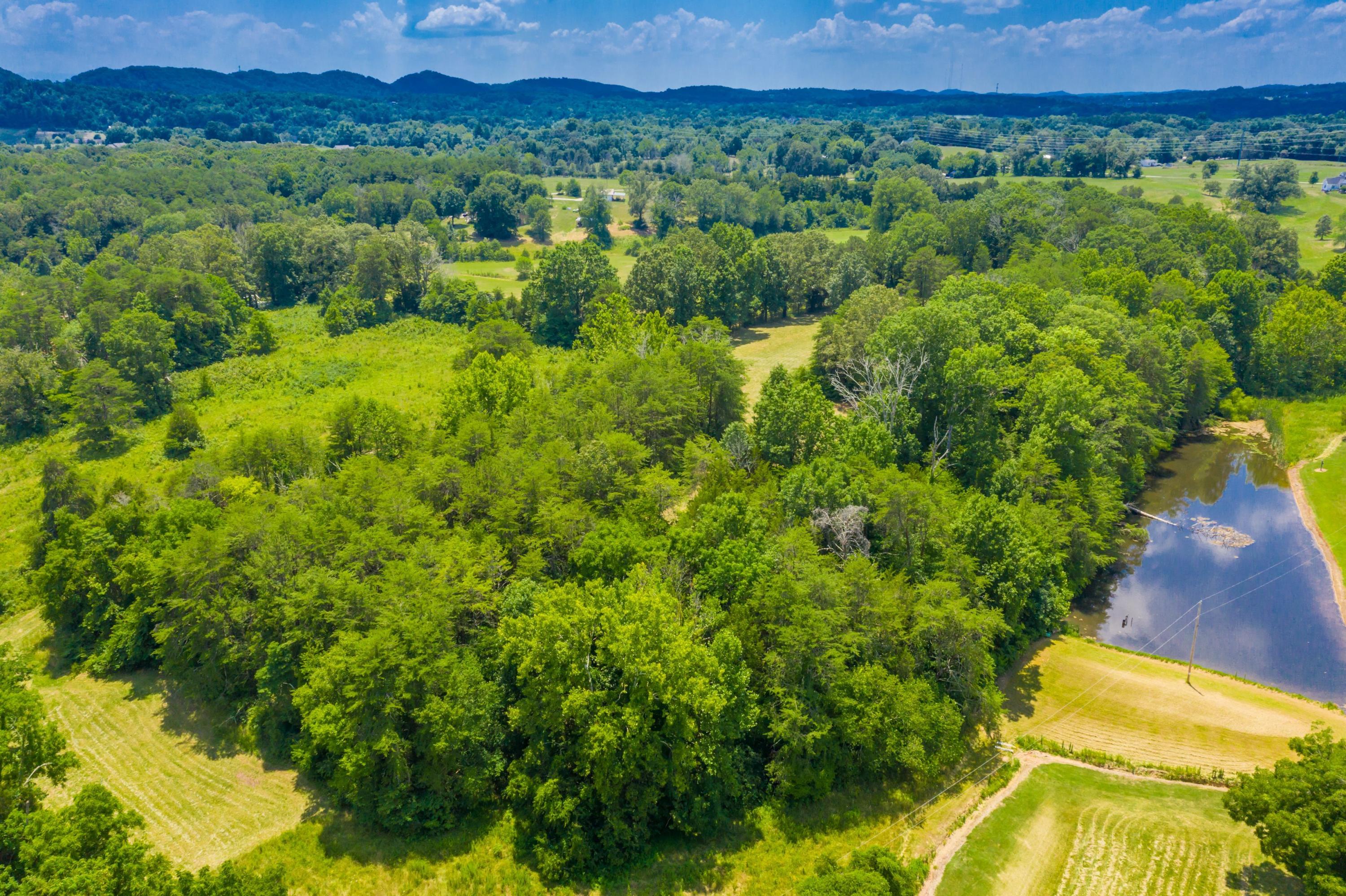 5319 Roberts Road Corryton, TN 37721 - Photo 4 of 7 55235 7 acres