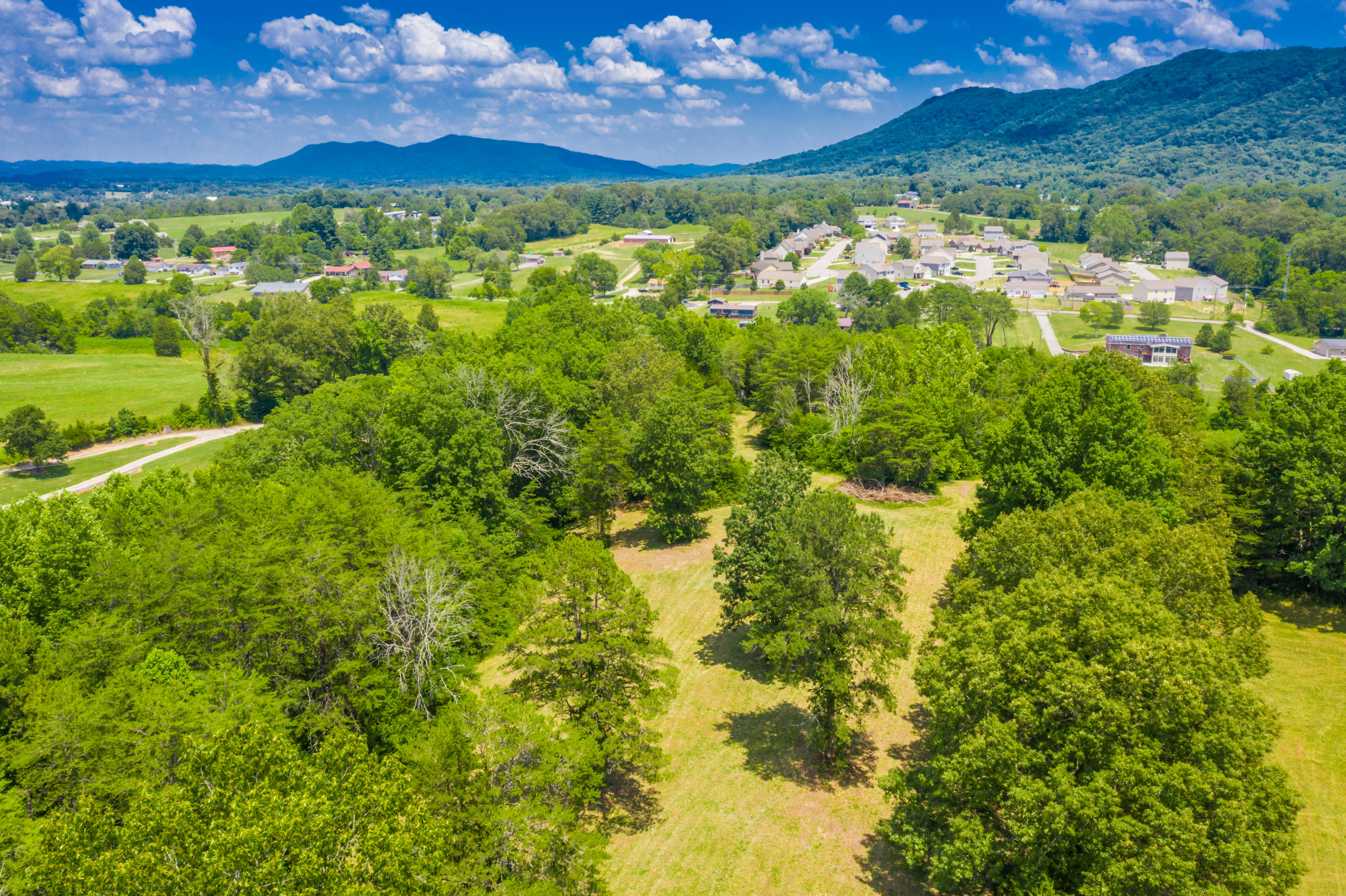 5319 Roberts Road Corryton, TN 37721 - Photo 6 of 7 5325RobertsRd-65