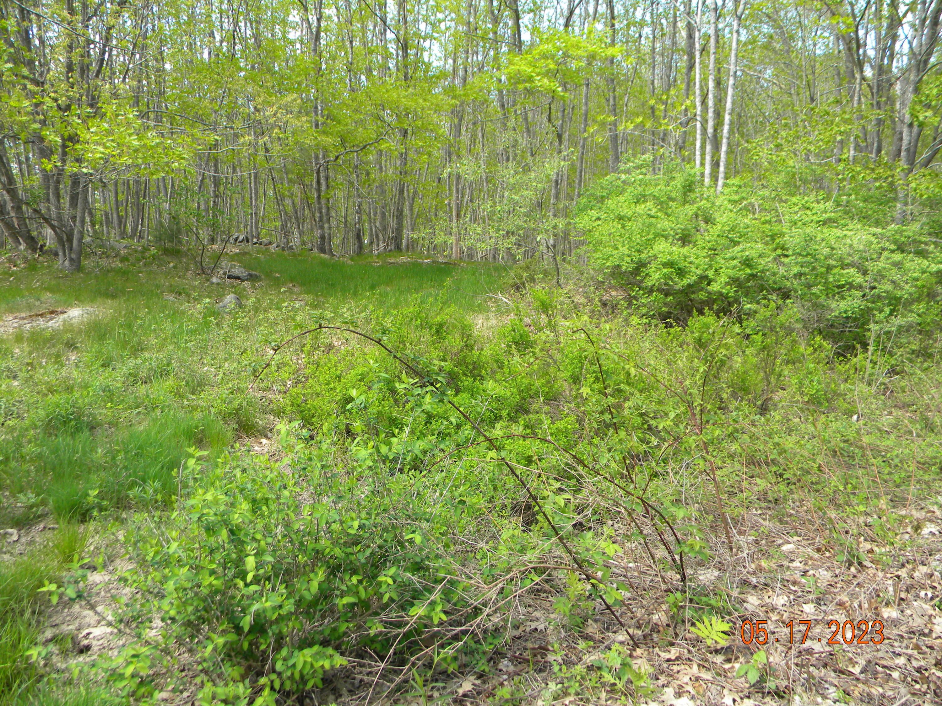 369 Barley Neck Road, Unit LOT C Woolwich, ME 04579 - Photo 6 of 13 DSCN4631