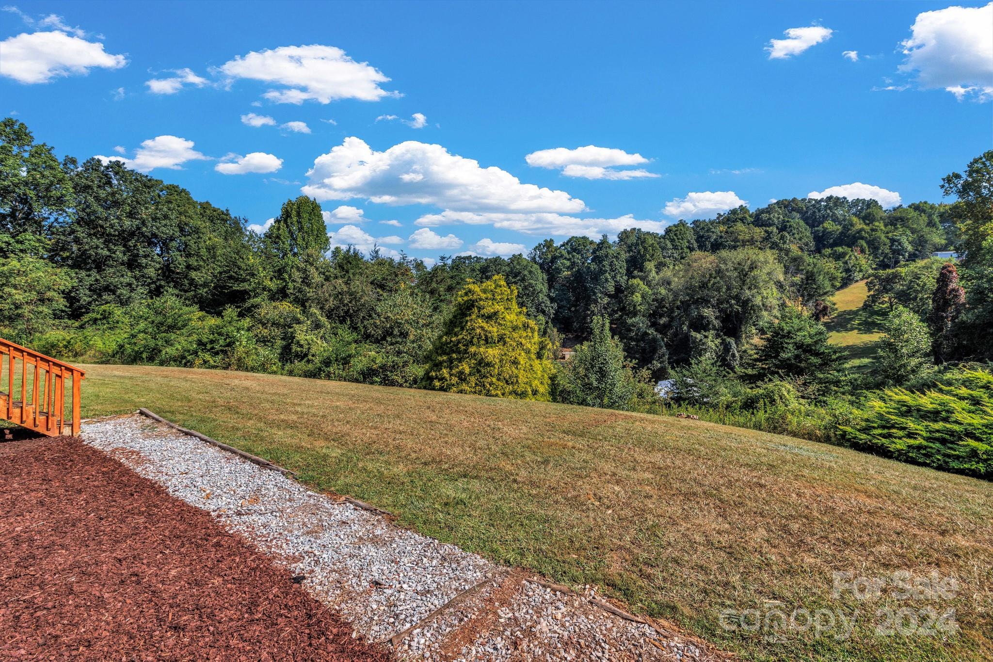 368 Richards Ridge Canton, NC 28716 - Photo 5 of 34 a view of a yard with a tree