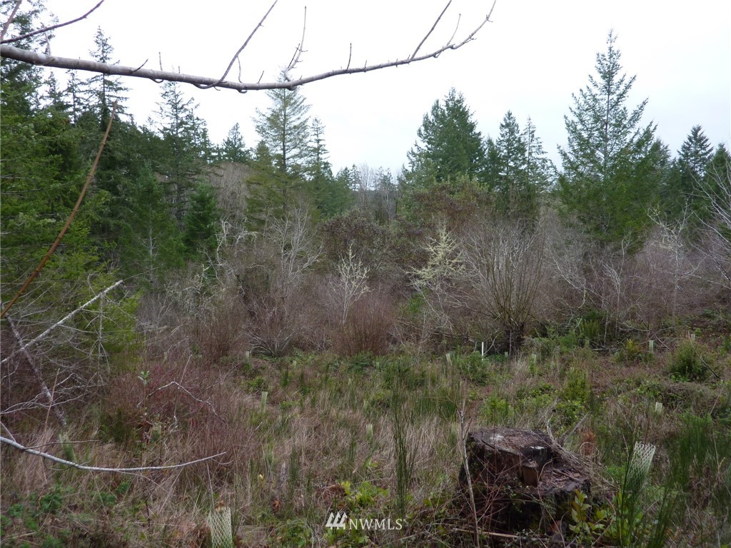 1234 Bayview Road Vaughn, WA 98394 - Photo 3 of 6