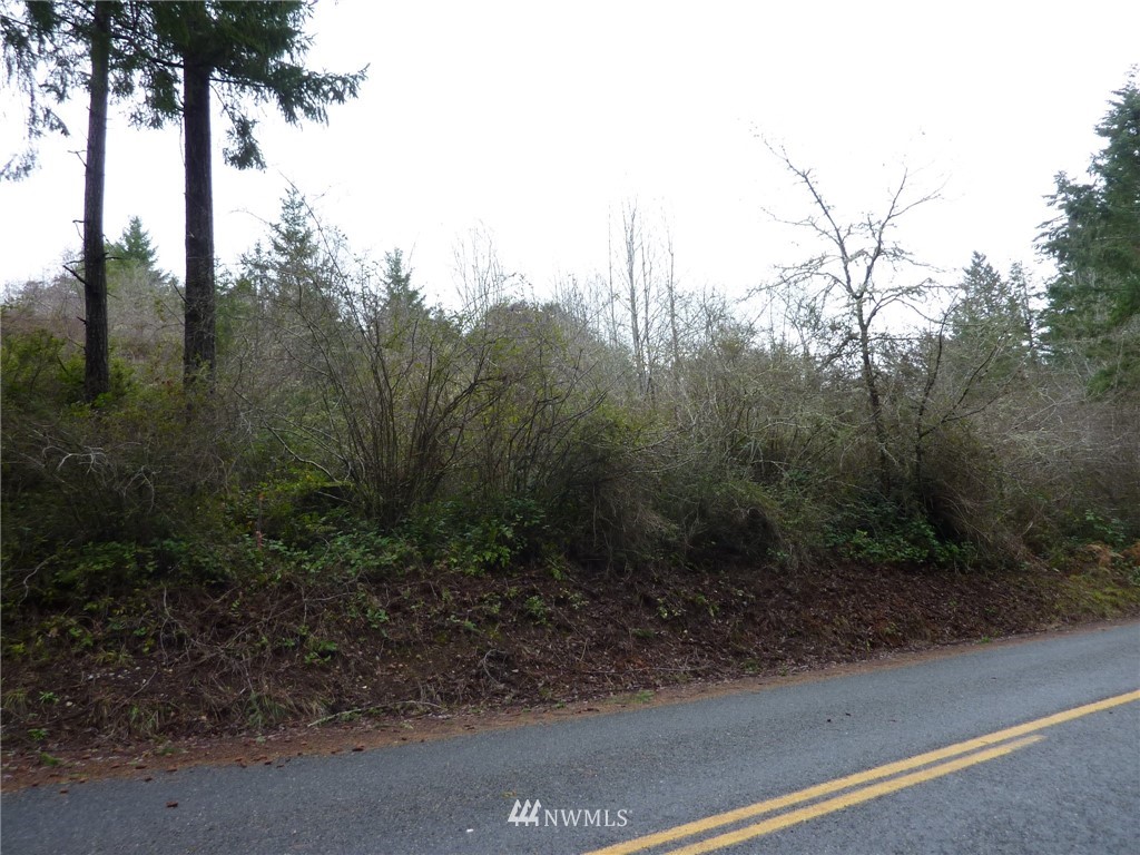 1234 Bayview Road Vaughn, WA 98394 - Photo 5 of 6