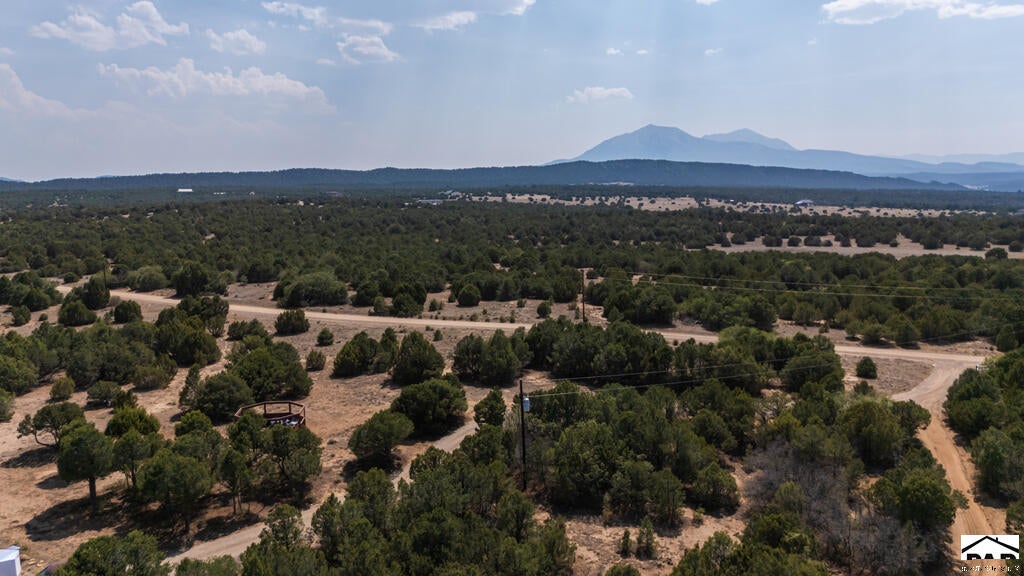 2308 Silver Spur Road Walsenburg, CO 81089 - Photo 57 of 75 Gallery Image 57