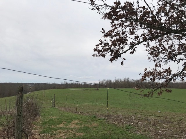 3035 T T Wenz Road Dover, KY 41034 - Photo 13 of 19 Gallery Image 13