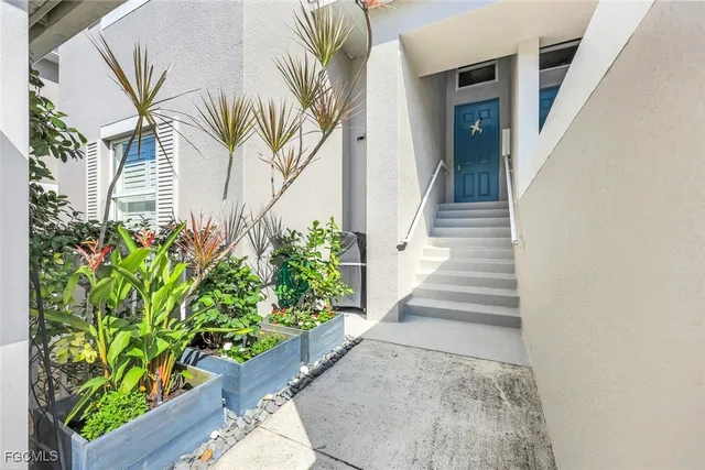 wooden floor with a potted plant