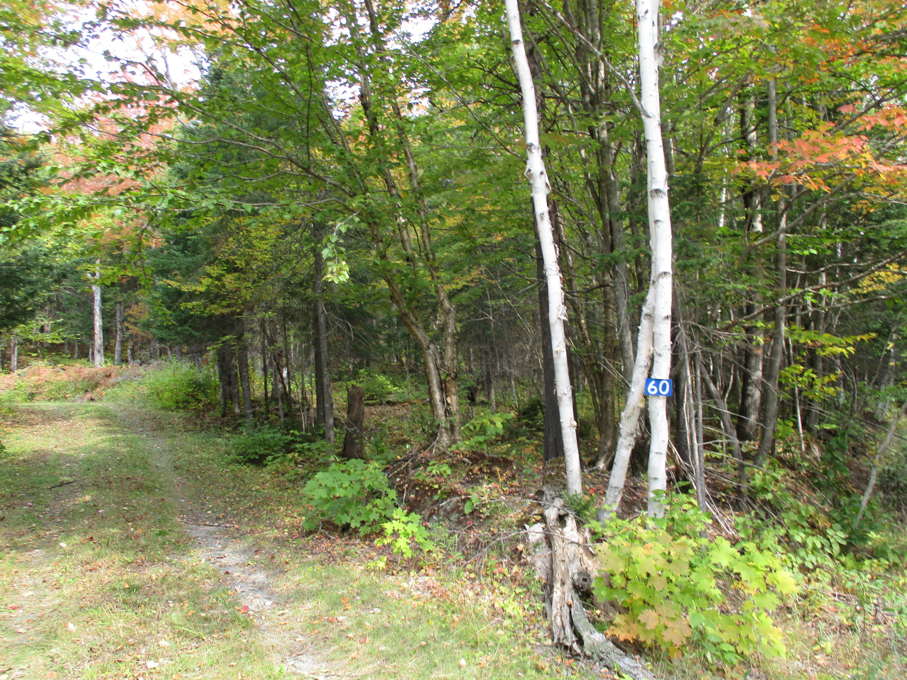 60 Little Black Road St. Francis, ME 04774 - Photo 29 of 35 IMG_1260