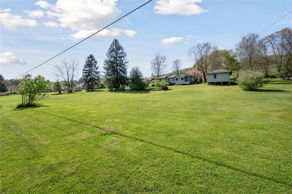 564 Rte 119 Highway North Indiana, PA 15701 - Photo 2 of 25 a view of a big yard with plants and large trees