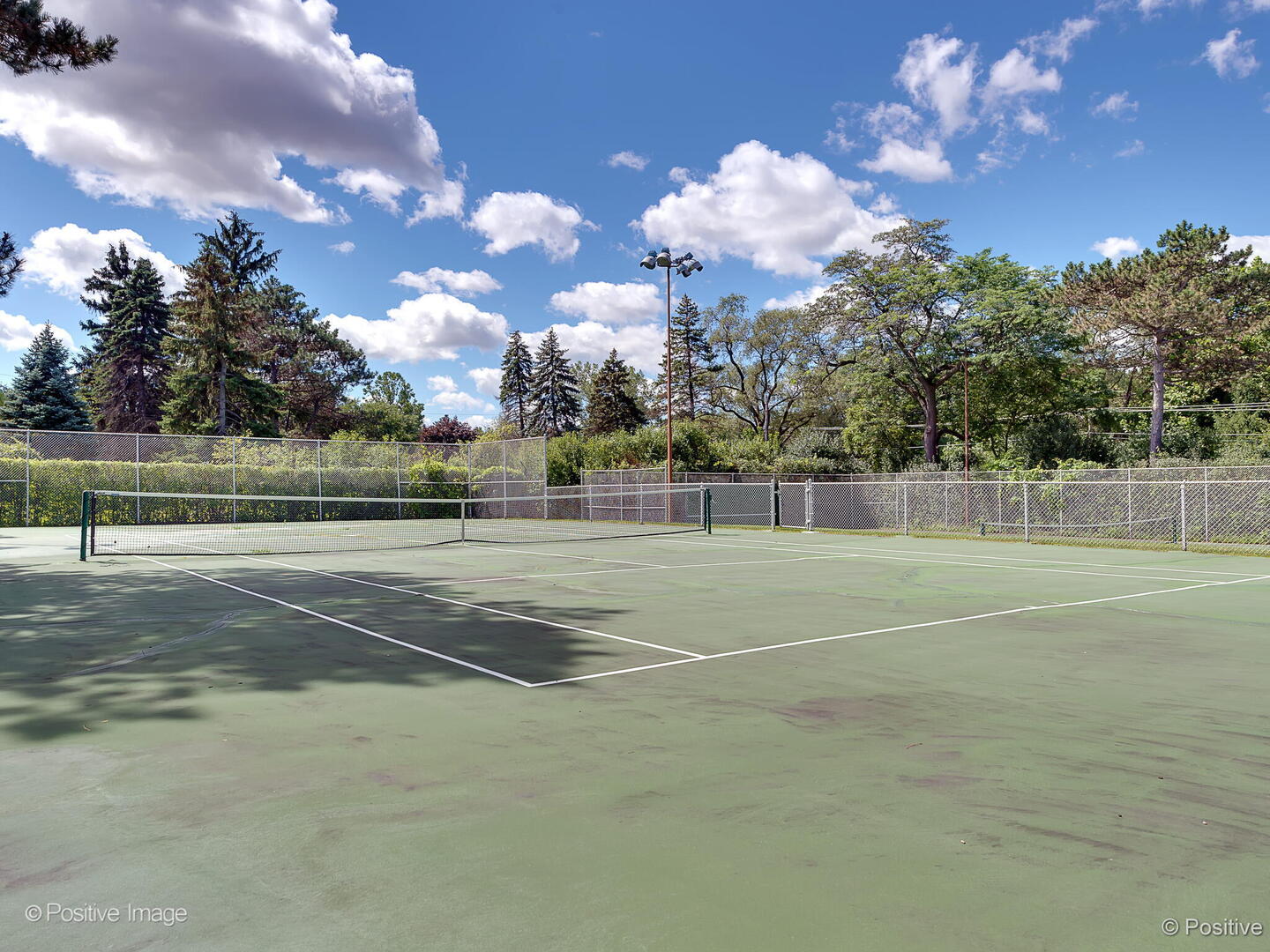 1604 Burr Ridge Club Burr Ridge, IL 60527 - Photo 47 of 52