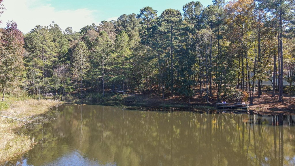 1109 Richardsons Lake Road Aiken, SC 29803 - Photo 11 of 66