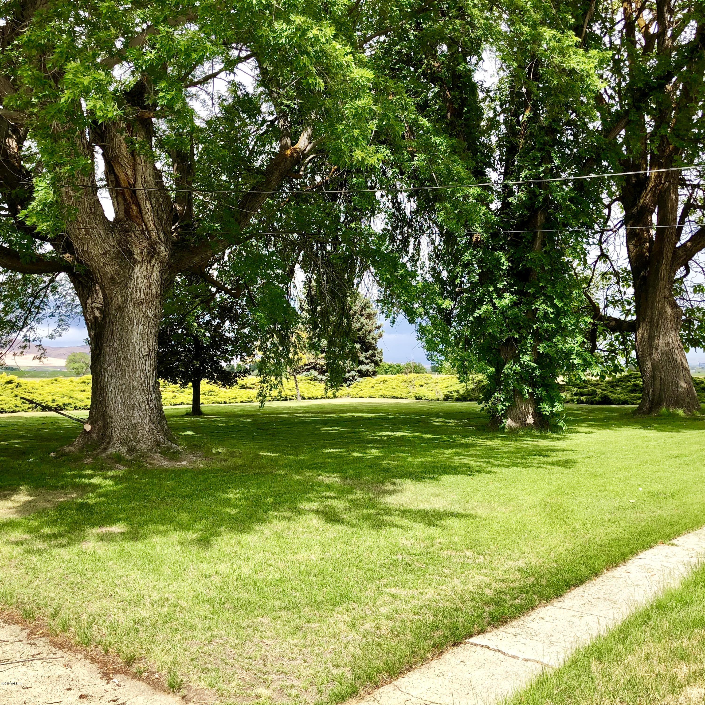 16573 Branch Road Harrah, WA 98933 - Photo 29 of 33 a view of yard with green space and trees