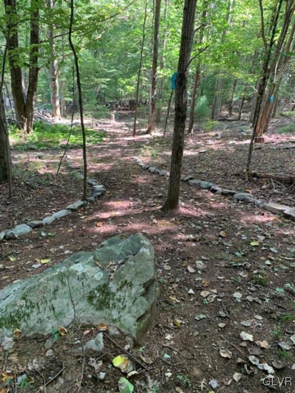 601 Cranberry Road Stroudsburg, PA 18360 - Photo 6 of 81 Gallery Image 6