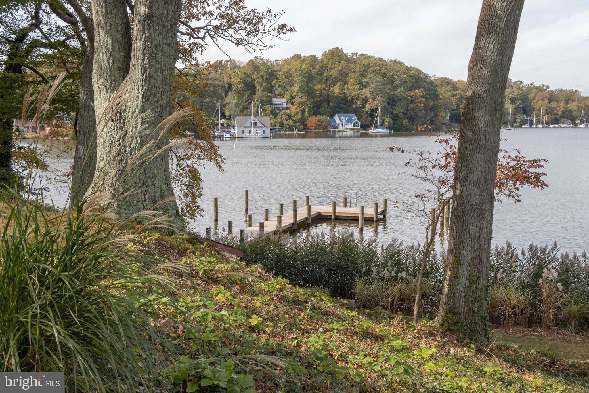 1832 Milvale Road Annapolis, MD 21409 - Photo 4 of 129 Gentle slope down to the water