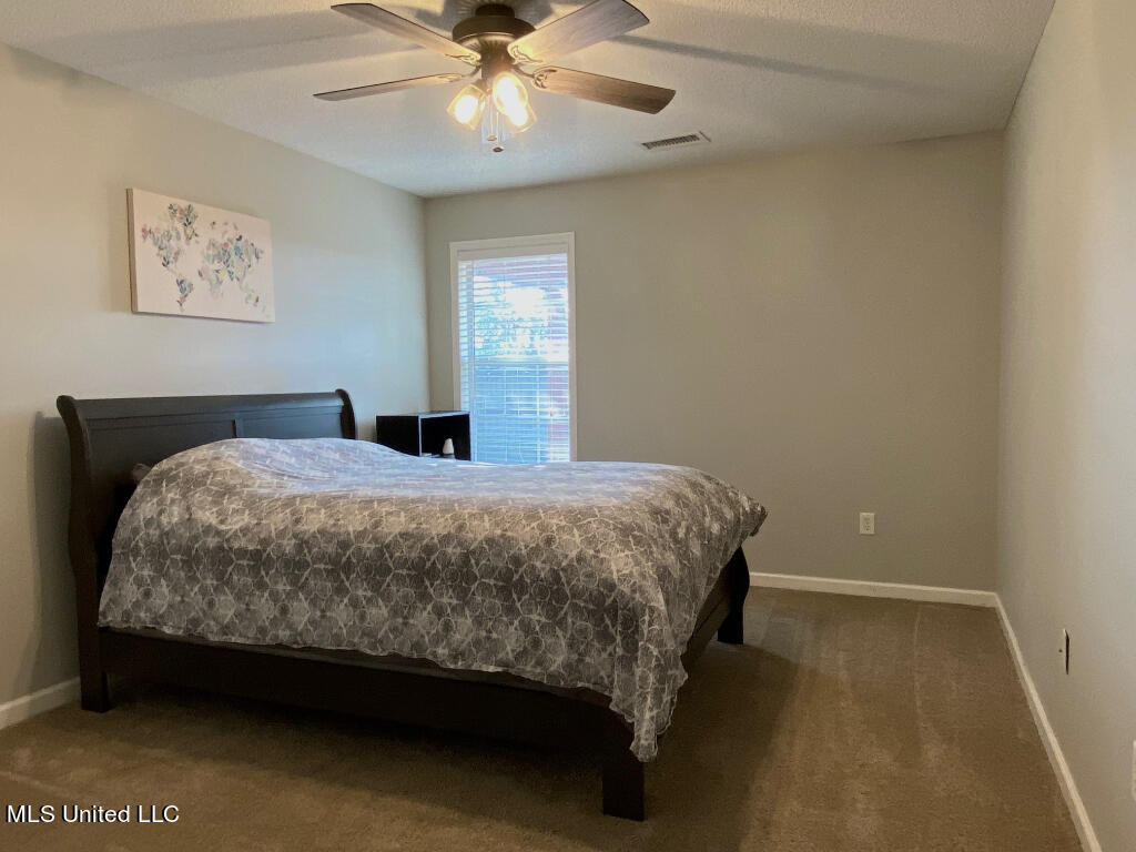 9921 Alexanders Ridge Drive Olive Branch, MS 38654 - Photo 7 of 19 06