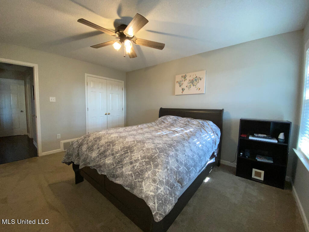 9921 Alexanders Ridge Drive Olive Branch, MS 38654 - Photo 8 of 19 07