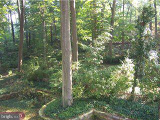 149 Hewett Road Wyncote, PA 19095 - Photo 4 of 6 a view of forest