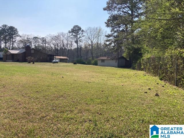 1207 Cherokee Trail Ohatchee, AL 36271 - Photo 8 of 23