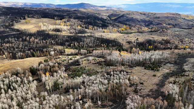 View of mountain background