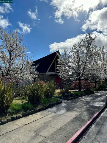 a view of a yard with plants and trees