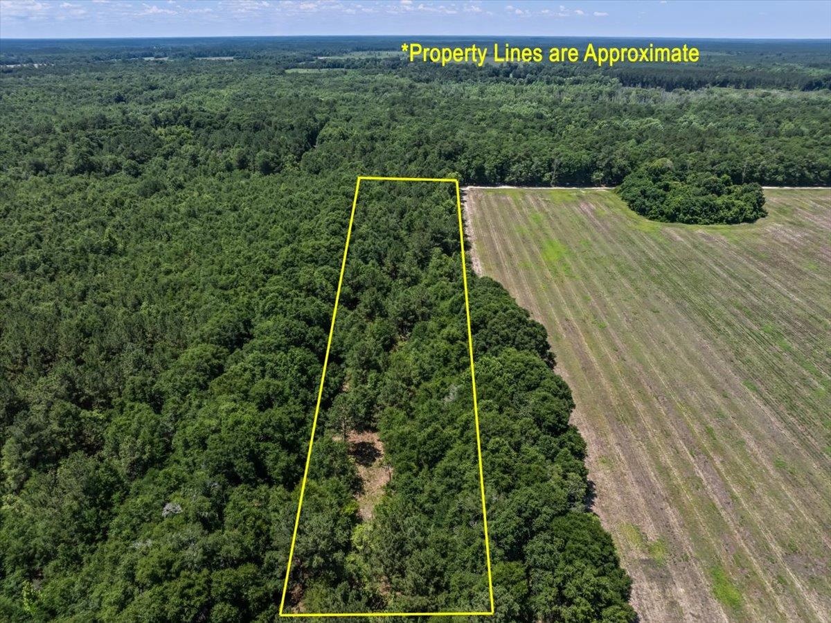 Tbd 5.3-acres Tbd 5.3-acres Springtown Road Bamberg, SC 29003 - Photo 10 of 11