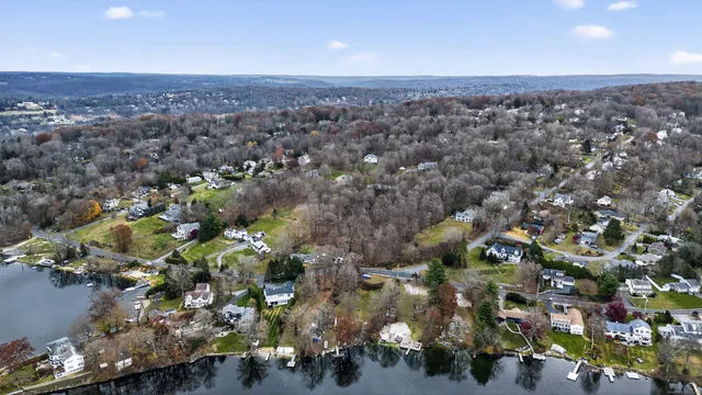 a street view with large trees