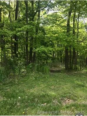 a view of a green field with plants in front of it