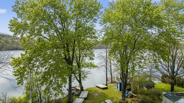 a view of a bunch of flowers