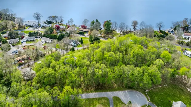 a view of a backyard with a tree