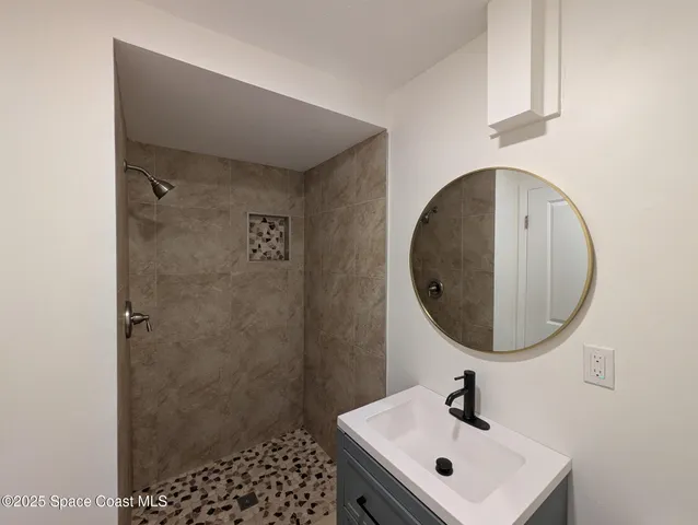 a bathroom with a sink a mirror and a shower