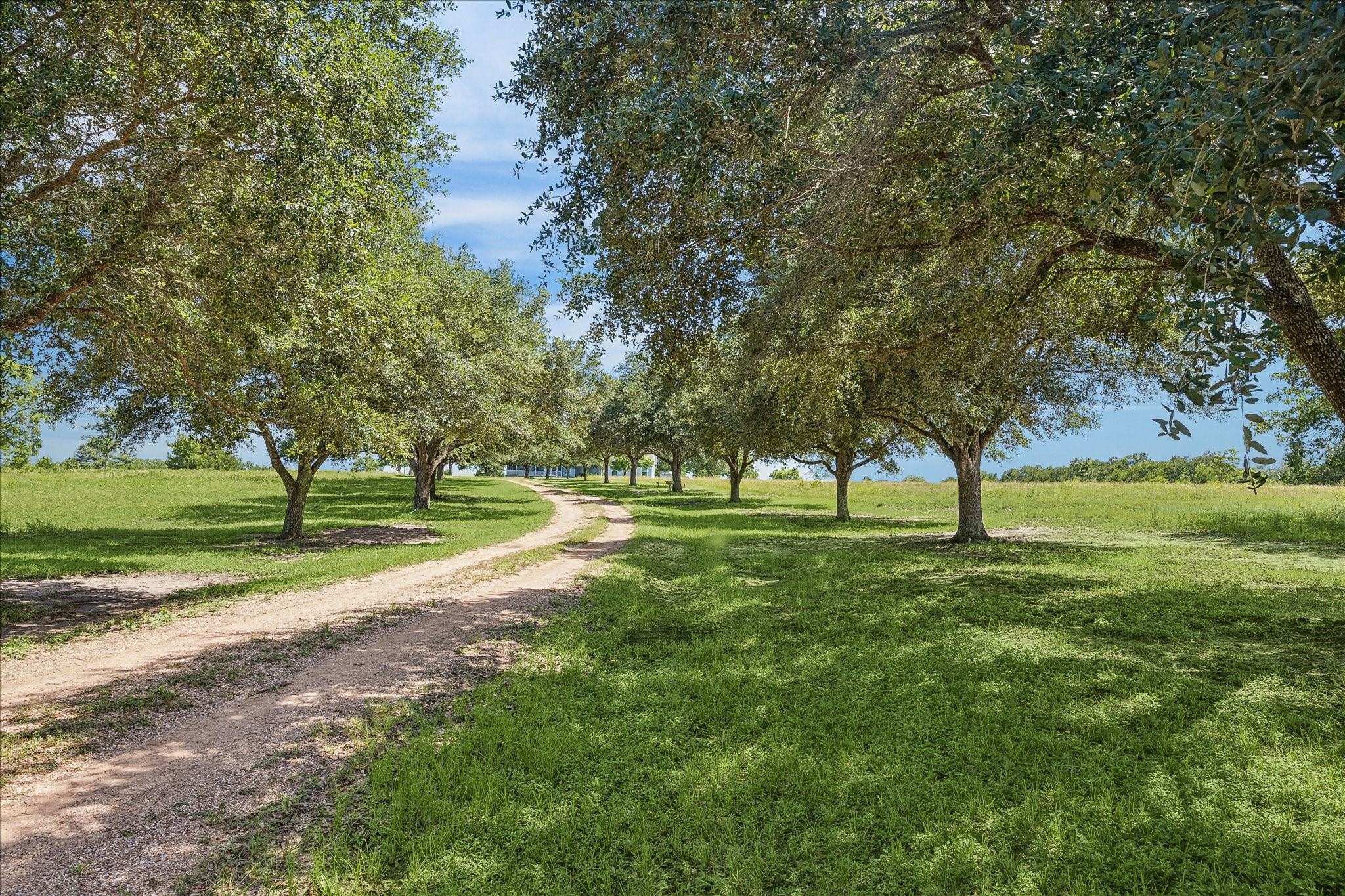 18250 Bosse Road Washington, TX 77880 - Photo 5 of 48