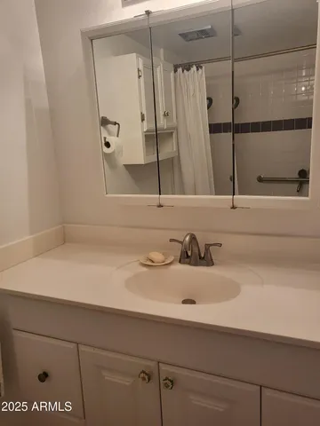 a bathroom with a sink and a mirror