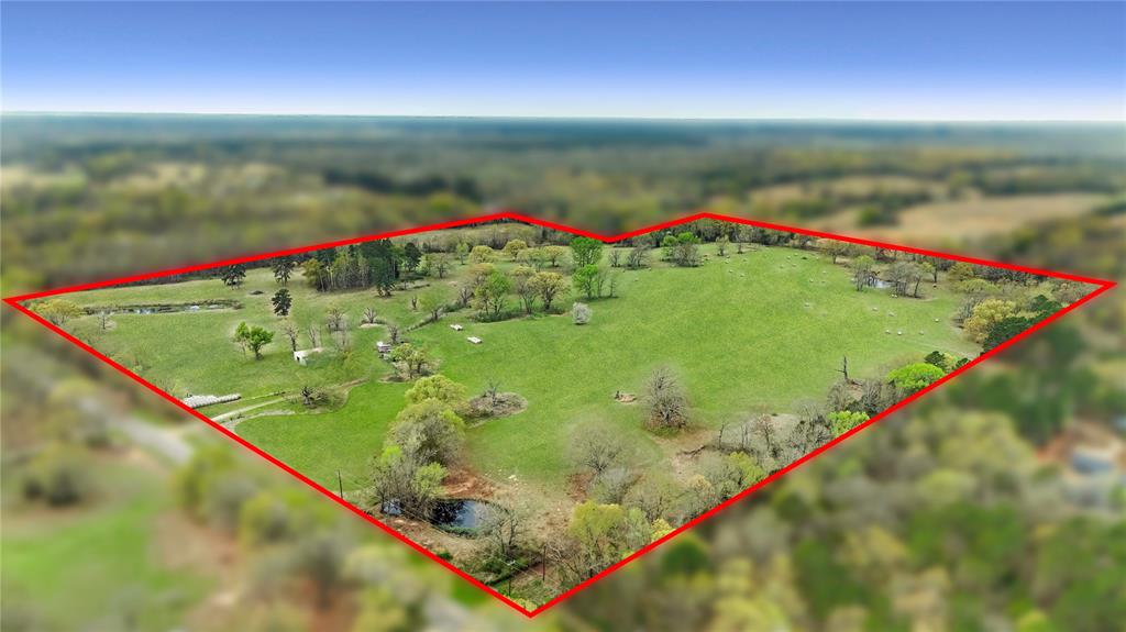 773 FM 773 Athens, TX 75752 - Photo 2 of 10