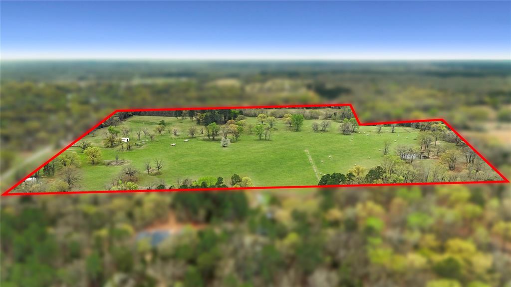 773 FM 773 Athens, TX 75752 - Photo 3 of 10