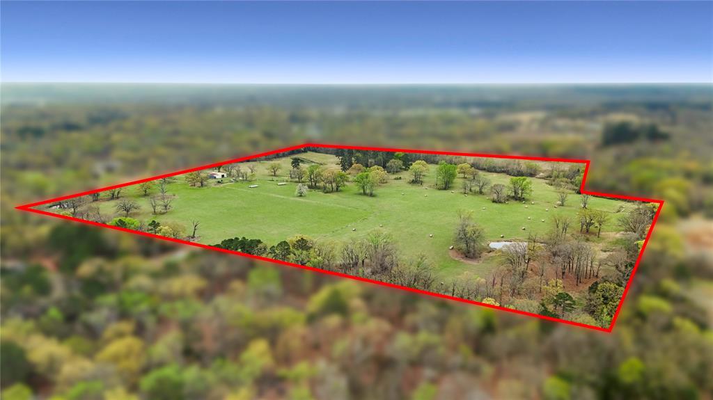 773 FM 773 Athens, TX 75752 - Photo 4 of 10