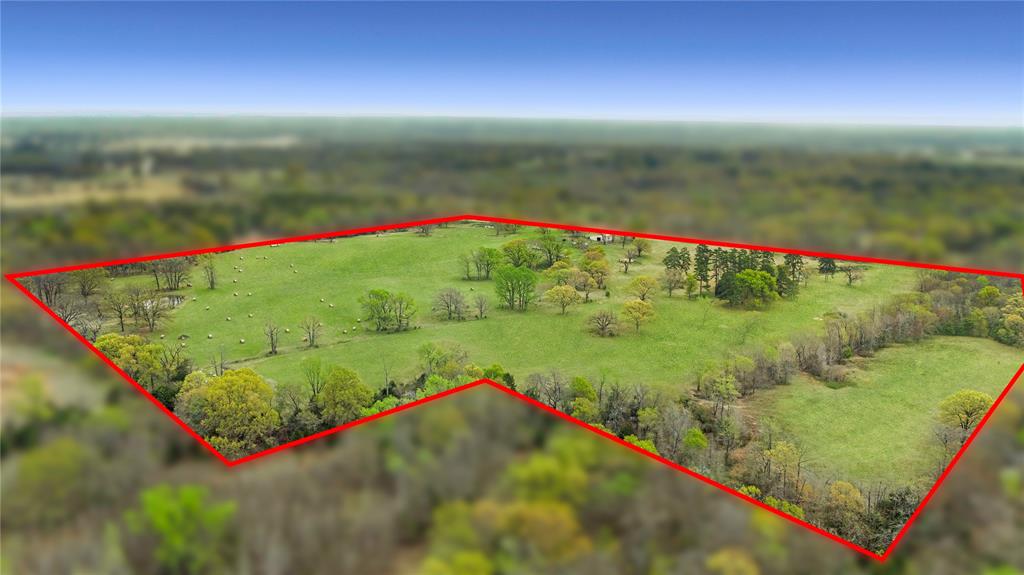 773 FM 773 Athens, TX 75752 - Photo 5 of 10