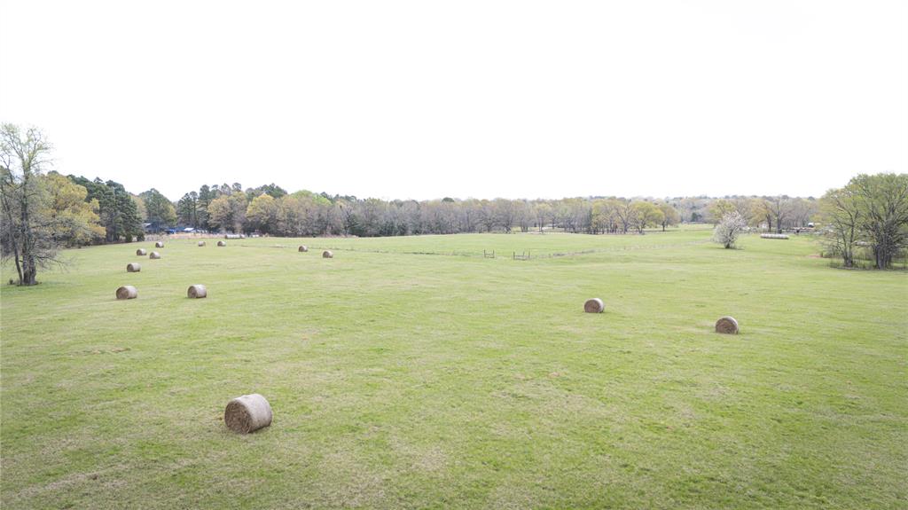 773 FM 773 Athens, TX 75752 - Photo 9 of 10