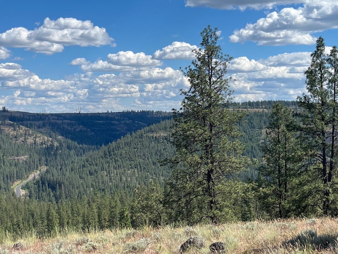 31805 Ruffed Grouse Drive Davenport, WA 99122 - Photo 7 of 23