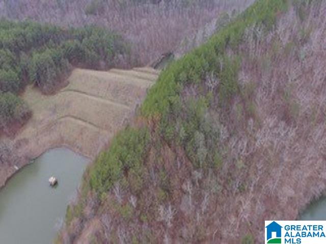 224 County Road, Unit 42 Piedmont, AL 36272 - Photo 1 of 7