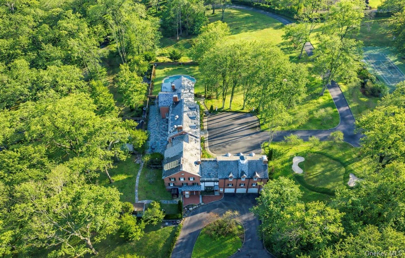 393 Mill River Road Muttontown, NY 11771 - Photo 2 of 41 a view of swimming pool with outdoor seating and plants
