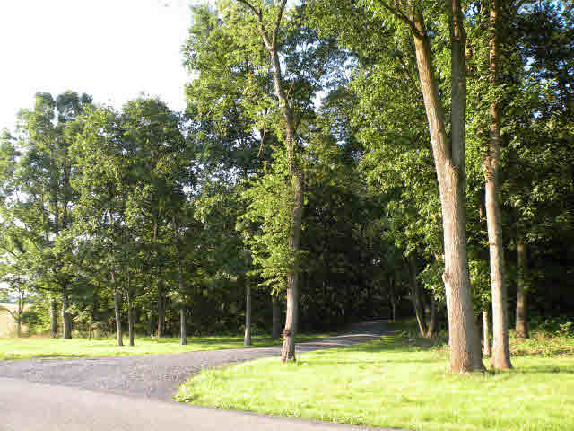 0 Trissels Road Broadway, VA 22815 - Photo 1 of 5 Gallery Image 1
