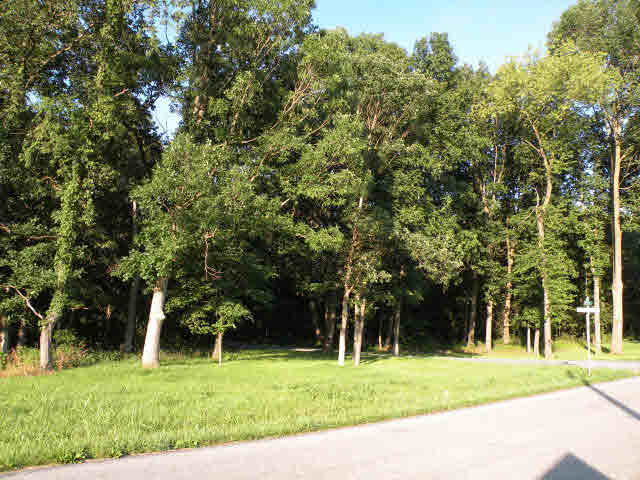 0 Trissels Road Broadway, VA 22815 - Photo 4 of 5 Gallery Image 4