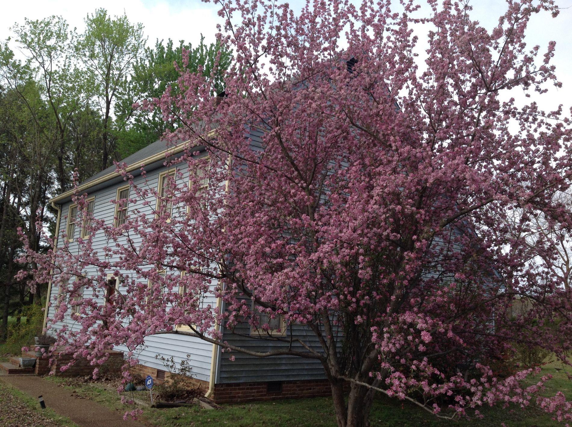 618 Horn Springs Road Lebanon, TN 37087 - Photo 13 of 14 Gallery Image 13